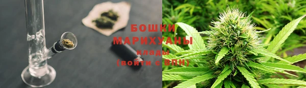 стаф Белокуриха