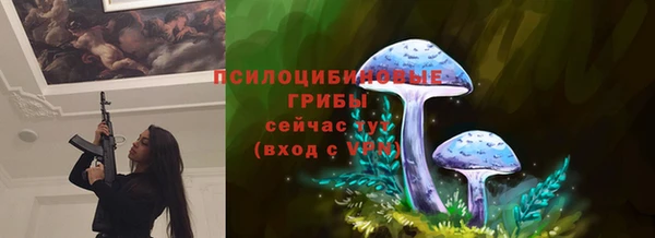 ECSTASY Белоозёрский