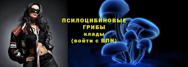 ECSTASY Белоозёрский
