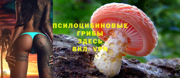 гашик Сосновый Бор